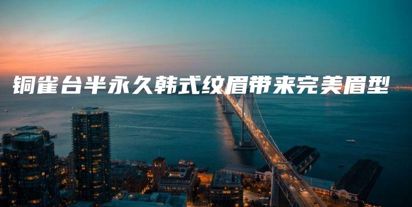 铜雀台半永久韩式纹眉带来完美眉型插图