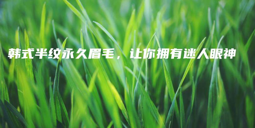 韩式半纹永久眉毛，让你拥有迷人眼神插图