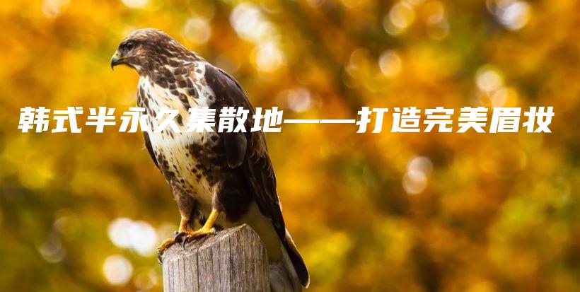 韩式半永久集散地——打造完美眉妆插图