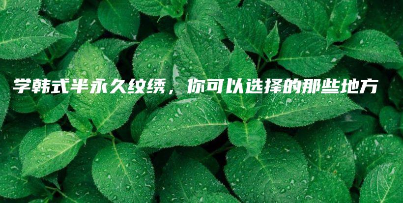 学韩式半永久纹绣，你可以选择的那些地方插图