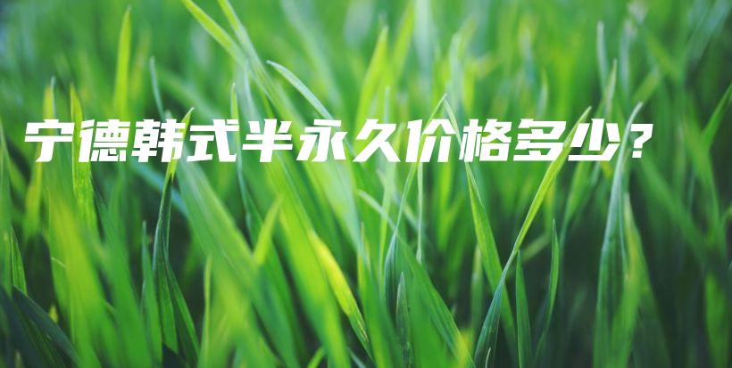 宁德韩式半永久价格多少？插图