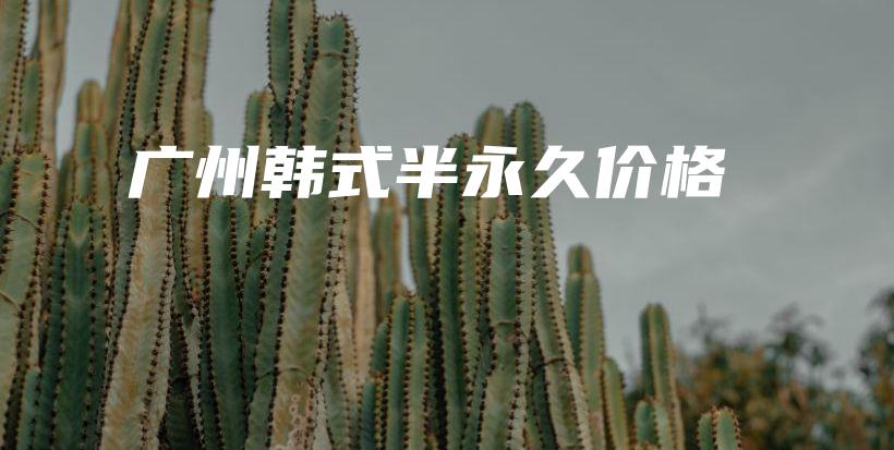 广州韩式半永久价格插图