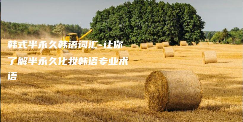 韩式半永久韩语词汇-让你了解半永久化妆韩语专业术语插图