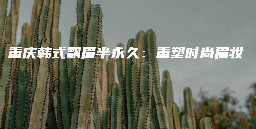 重庆韩式飘眉半永久：重塑时尚眉妆插图