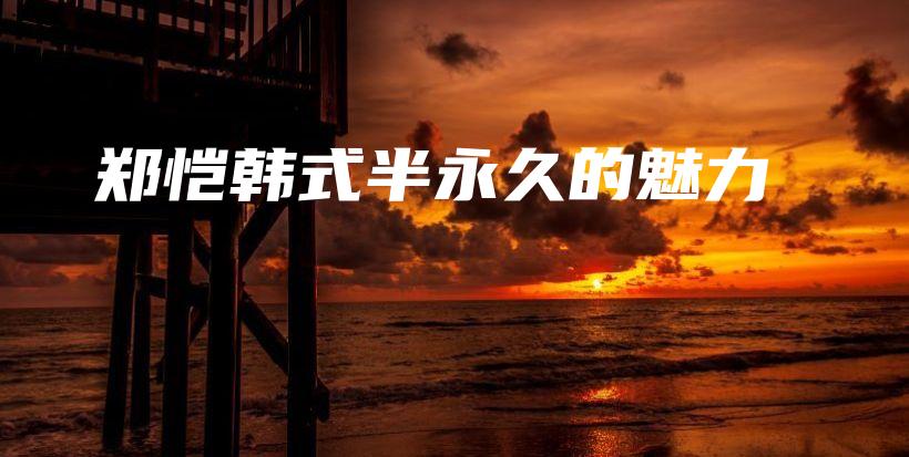 郑恺韩式半永久的魅力插图