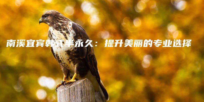 南溪宜宾韩式半永久：提升美丽的专业选择插图