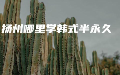 扬州哪里学韩式半永久