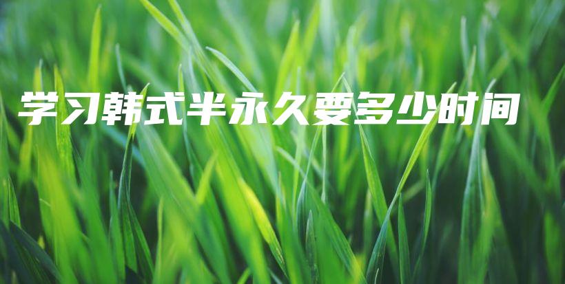 学习韩式半永久要多少时间插图