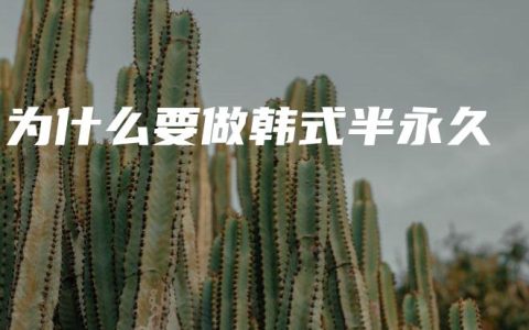 为什么要做韩式半永久