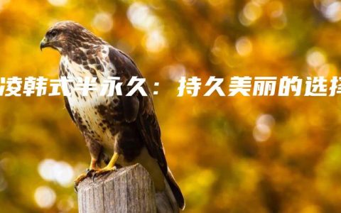 杨凌韩式半永久：持久美丽的选择