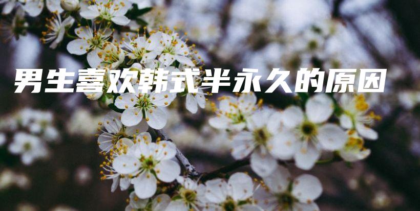 男生喜欢韩式半永久的原因插图