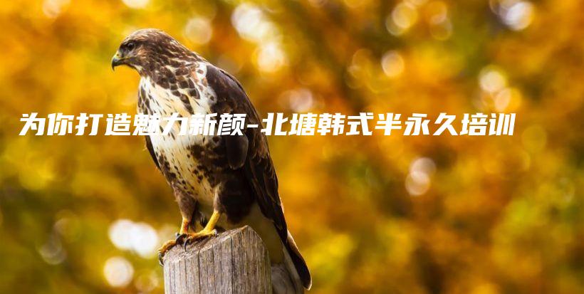 为你打造魅力新颜-北塘韩式半永久培训插图