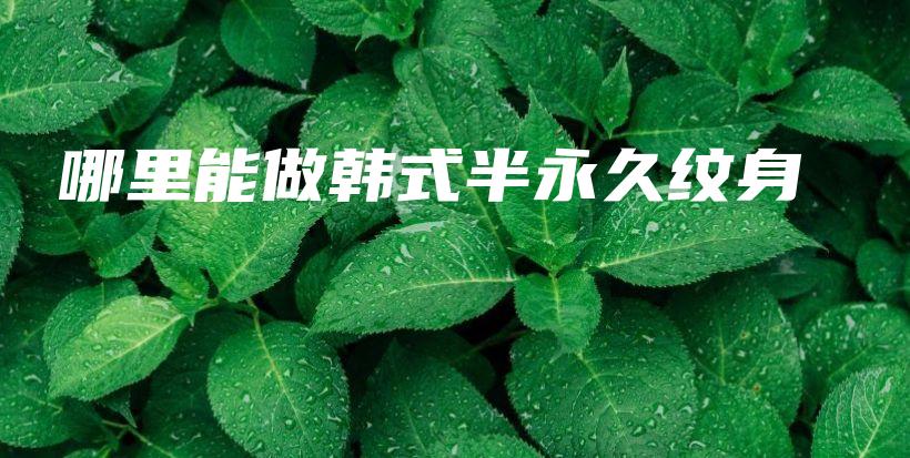 哪里能做韩式半永久纹身插图