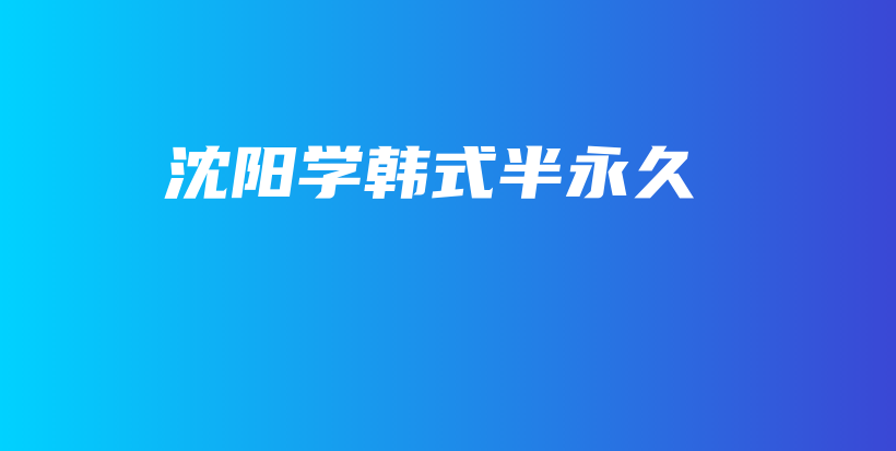 沈阳学韩式半永久插图