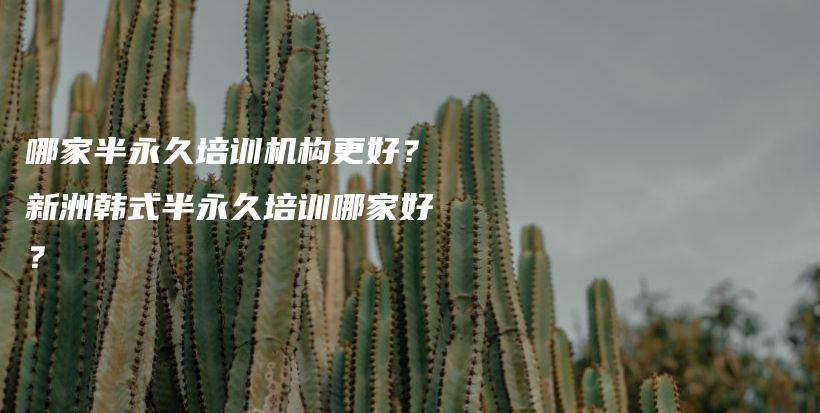 哪家半永久培训机构更好？新洲韩式半永久培训哪家好？插图