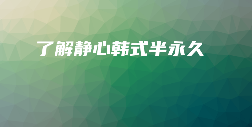 了解静心韩式半永久插图