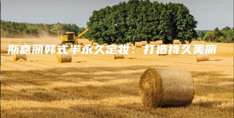 斯嘉丽韩式半永久定妆：打造持久美丽插图
