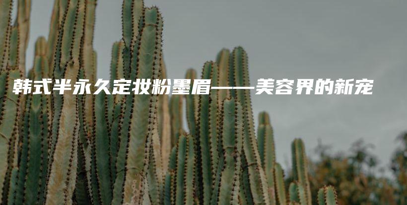 韩式半永久定妆粉墨眉——美容界的新宠插图
