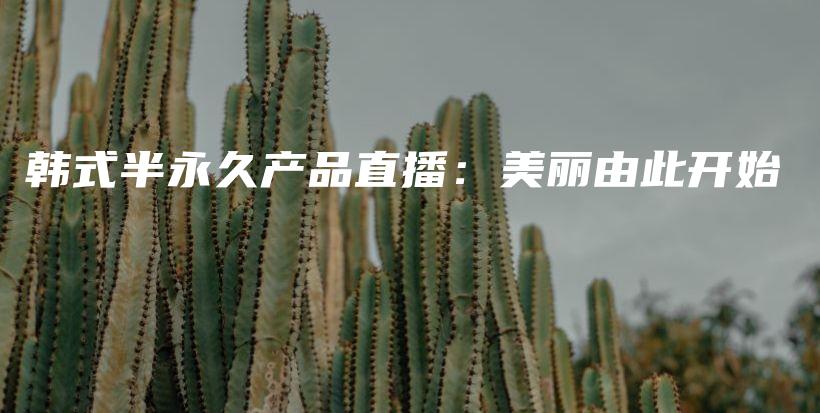 韩式半永久产品直播：美丽由此开始插图