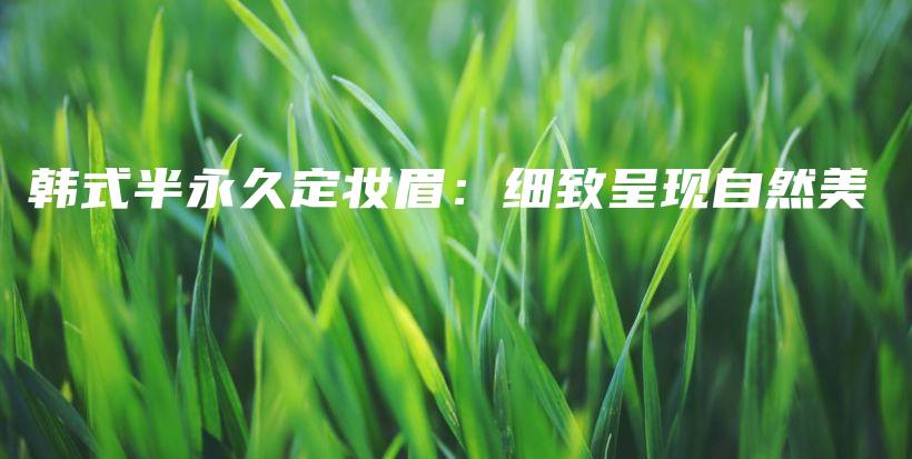 韩式半永久定妆眉：细致呈现自然美插图