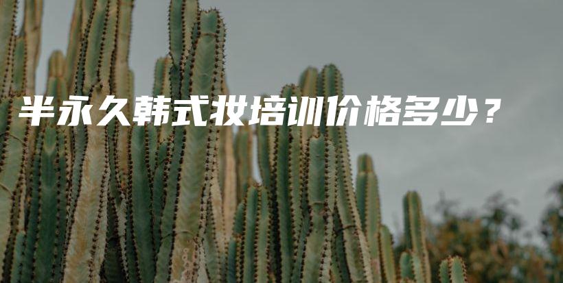 半永久韩式妆培训价格多少？插图