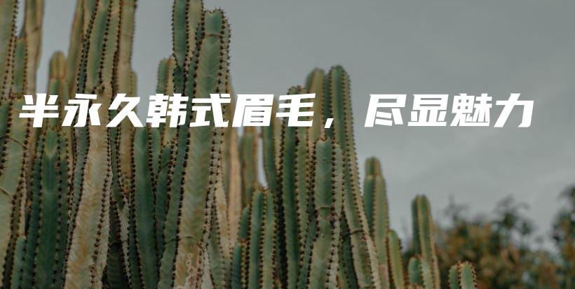 半永久韩式眉毛，尽显魅力插图
