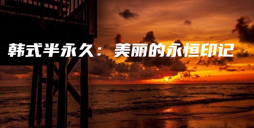 韩式半永久：美丽的永恒印记插图