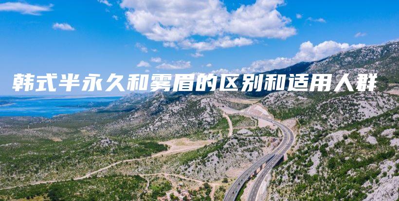 韩式半永久和雾眉的区别和适用人群插图