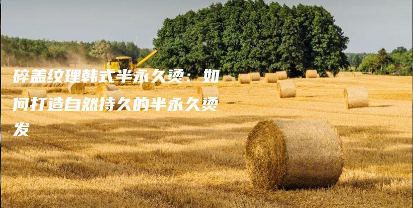 碎盖纹理韩式半永久烫：如何打造自然持久的半永久烫发插图