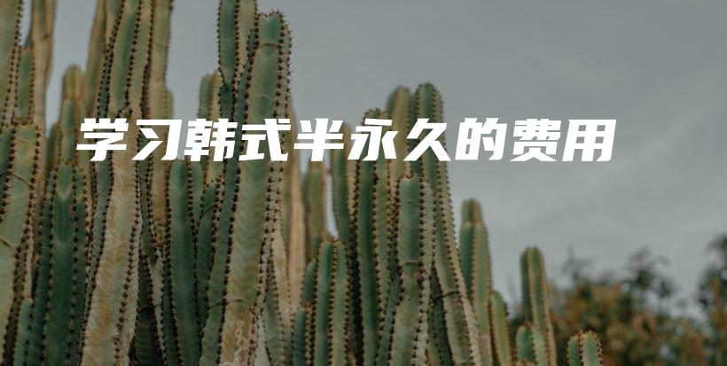 学习韩式半永久的费用插图