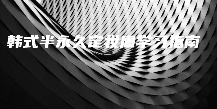 韩式半永久定妆眉学习指南插图