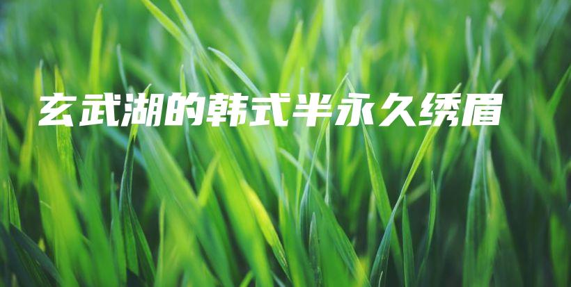 玄武湖的韩式半永久绣眉插图