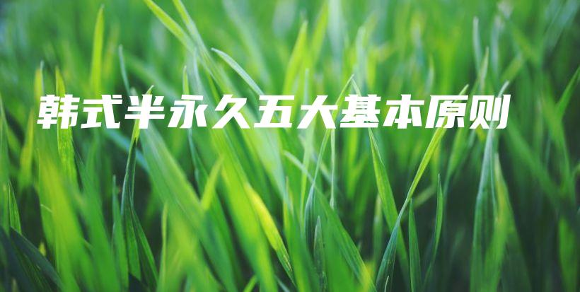 韩式半永久五大基本原则 – Anne美学插图4