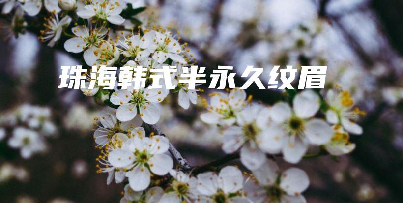 珠海韩式半永久纹眉插图