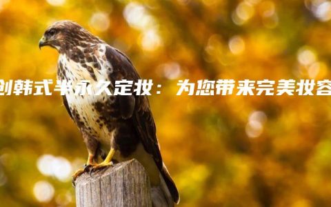 妍创韩式半永久定妆：为您带来完美妆容