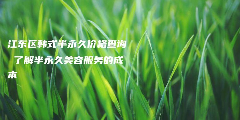 江东区韩式半永久价格查询 了解半永久美容服务的成本插图