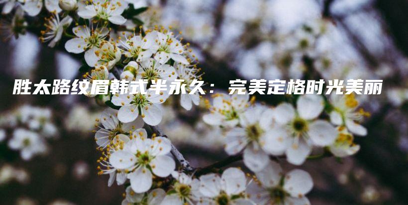 胜太路纹眉韩式半永久：完美定格时光美丽插图