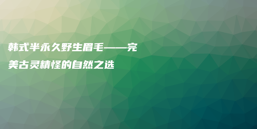 韩式半永久野生眉毛——完美古灵精怪的自然之选插图
