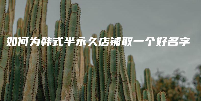 如何为韩式半永久店铺取一个好名字插图