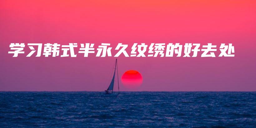 学习韩式半永久纹绣的好去处插图