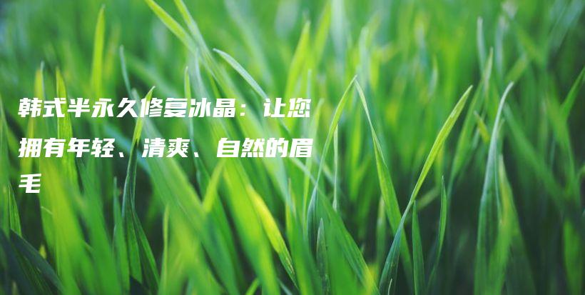 韩式半永久修复冰晶：让您拥有年轻、清爽、自然的眉毛插图