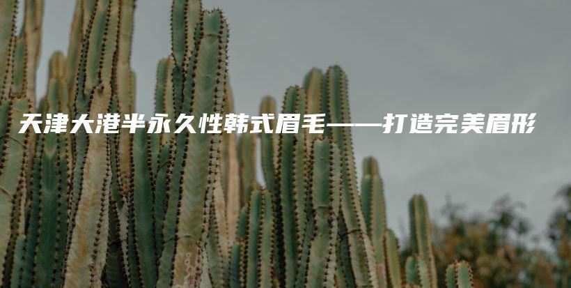 天津大港半永久性韩式眉毛——打造完美眉形插图
