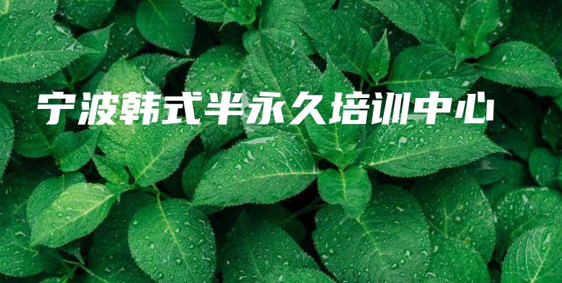 宁波韩式半永久培训中心插图