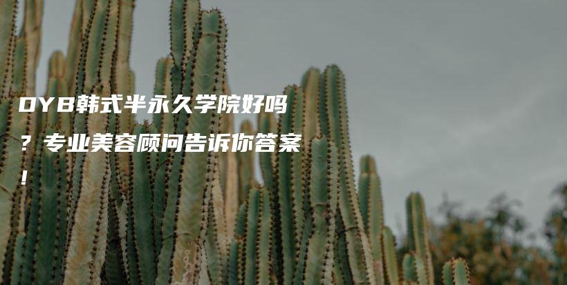 DYB韩式半永久学院好吗？专业美容顾问告诉你答案！插图