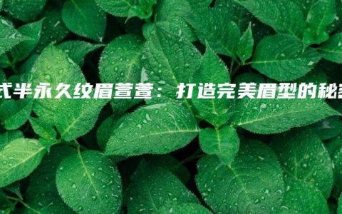 韩式半永久纹眉萱萱：打造完美眉型的秘密