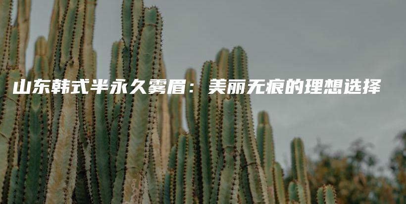 山东韩式半永久雾眉：美丽无痕的理想选择插图