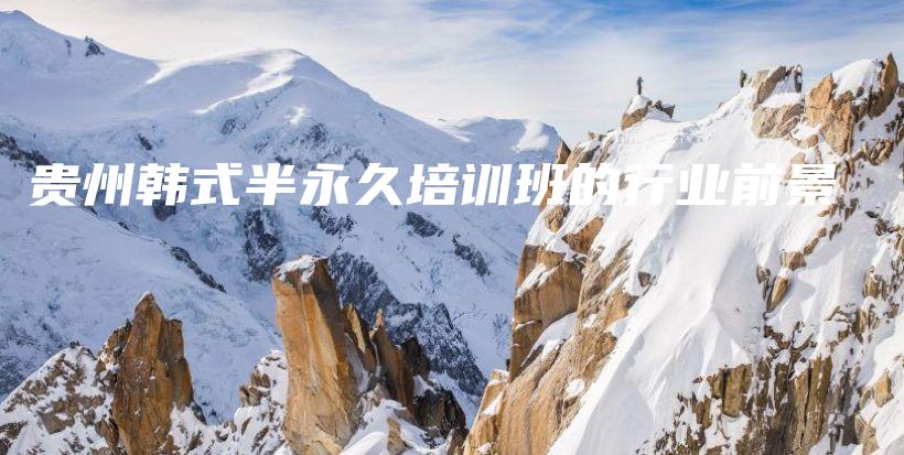 贵州韩式半永久培训班的行业前景插图