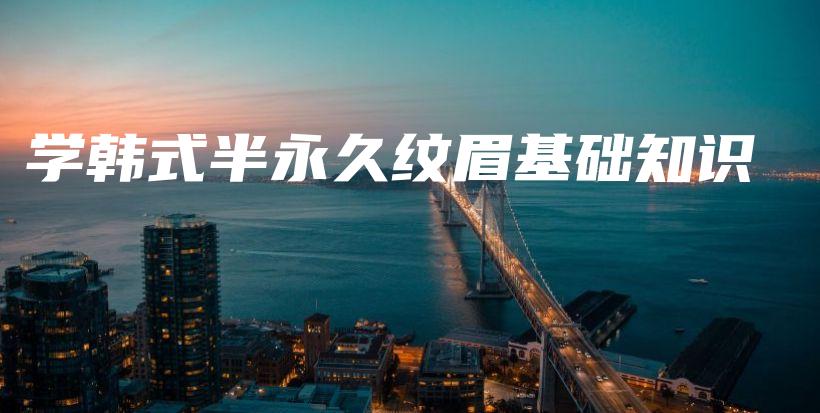 学韩式半永久纹眉基础知识插图