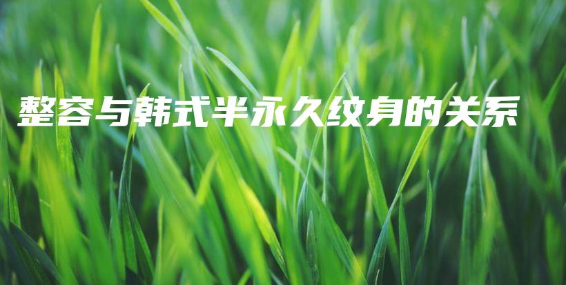 整容与韩式半永久纹身的关系插图
