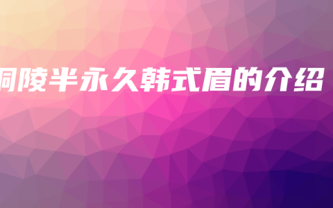 铜陵半永久韩式眉的介绍